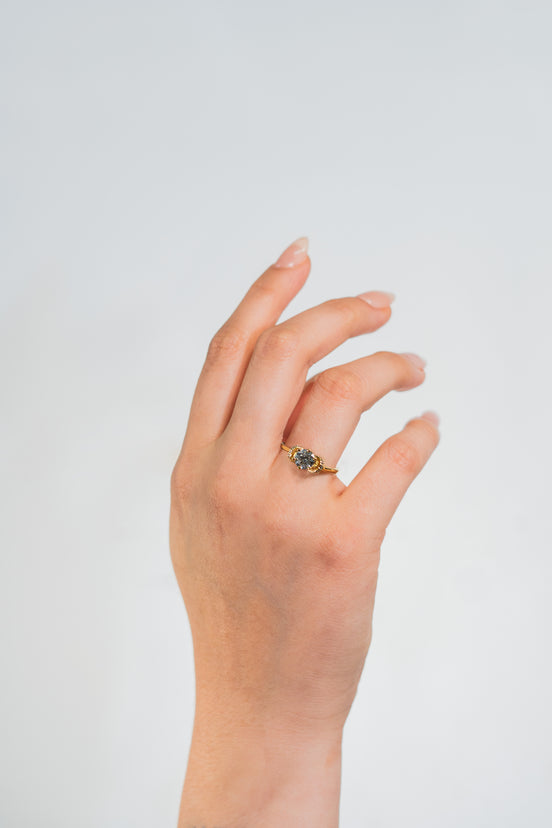 Anillo de Compromiso - DALIA